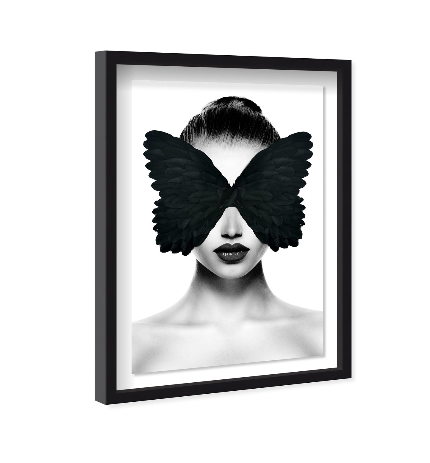 Midnight Duchess II Feathers