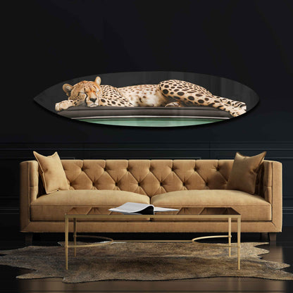 Sleepy Cadi Cheetah Surfboard