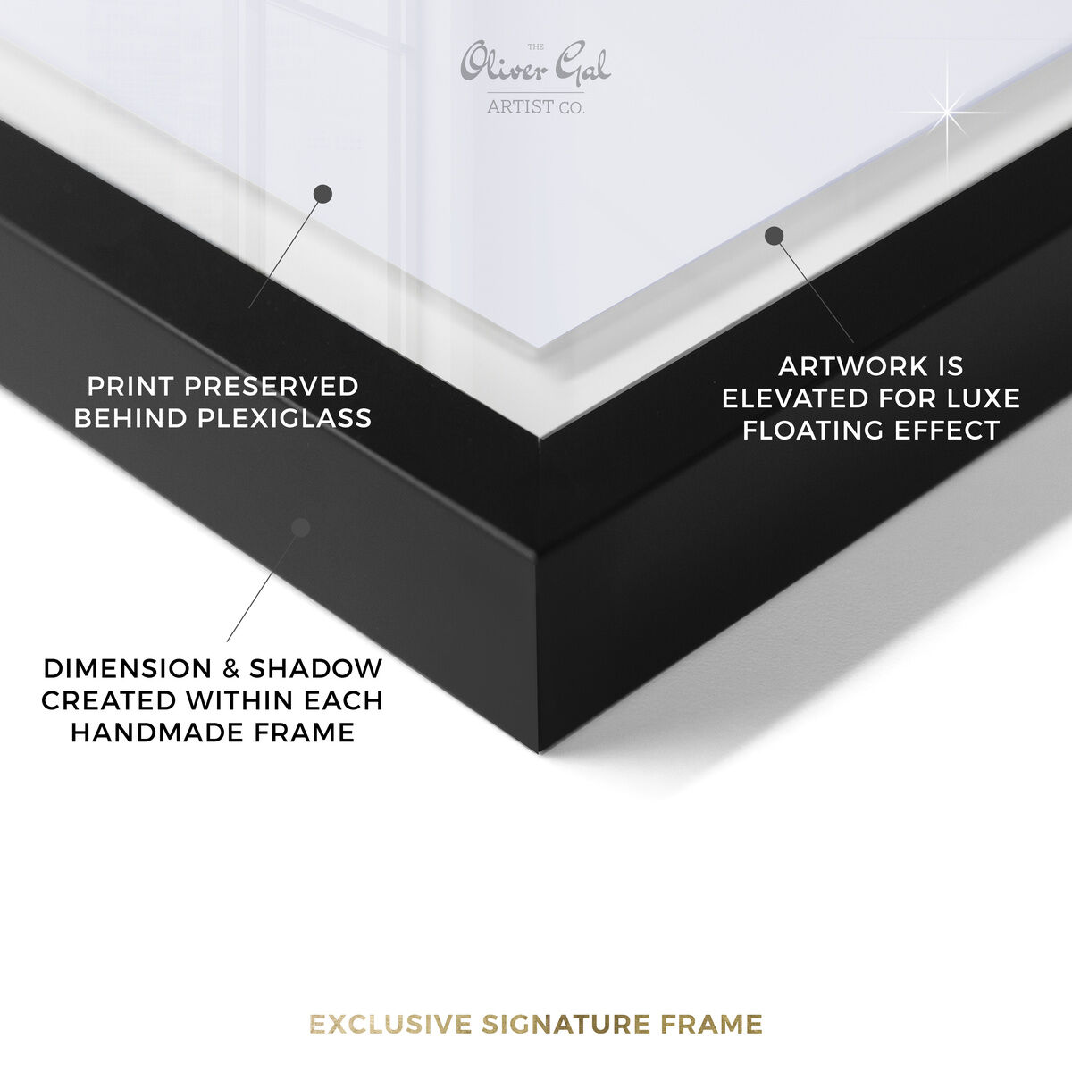 Toilet de Luxe