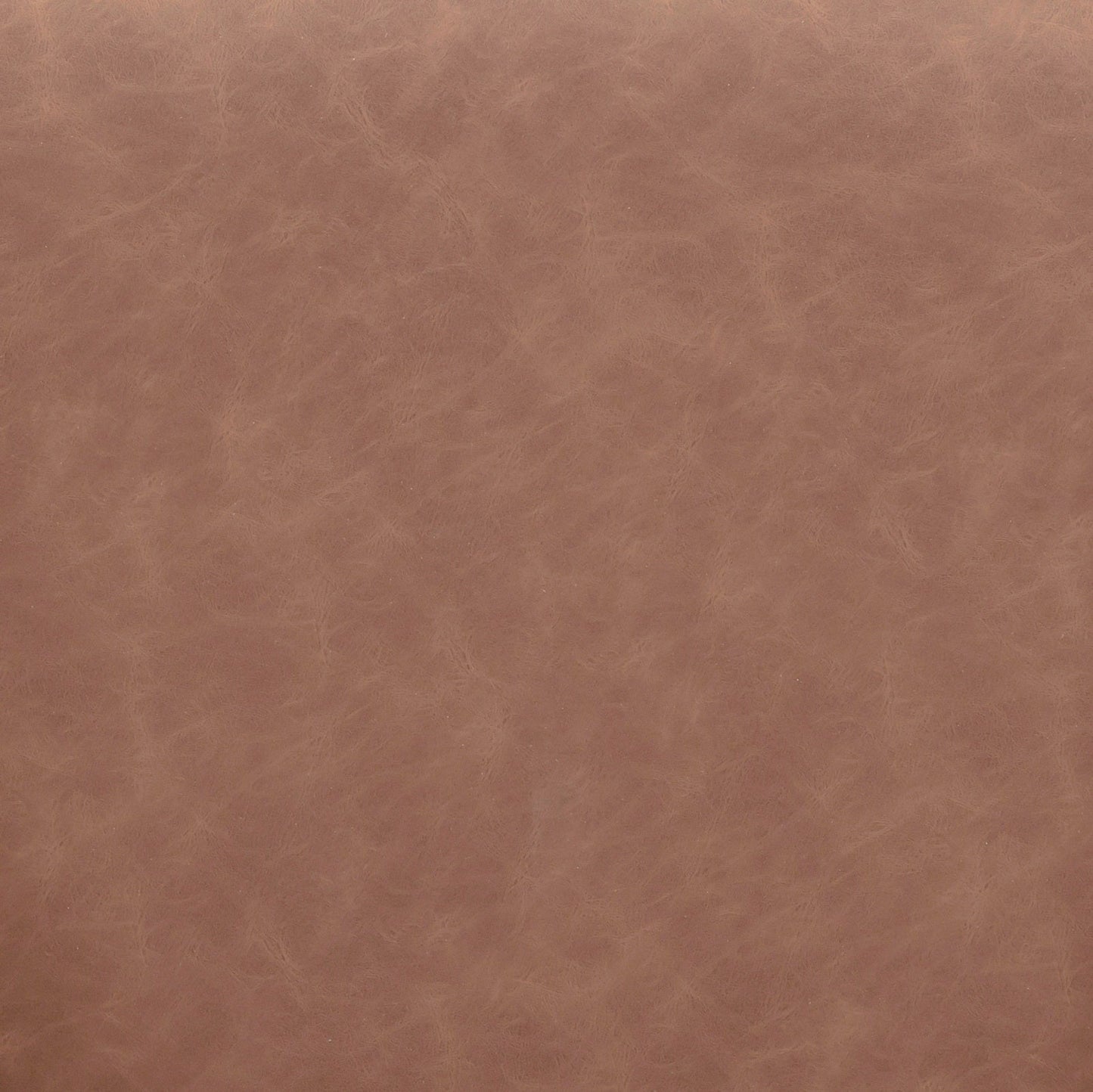 Vina Performance Vegan Leather Dining Chair