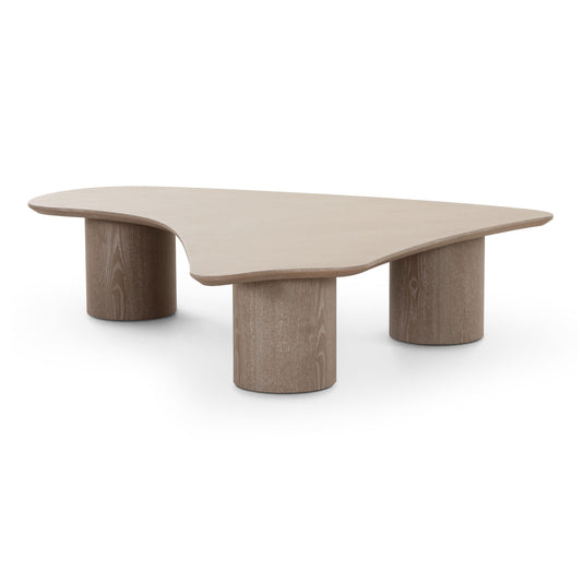 Rhema 55" Washed Ash Organic Low Coffee Table - Default Variant