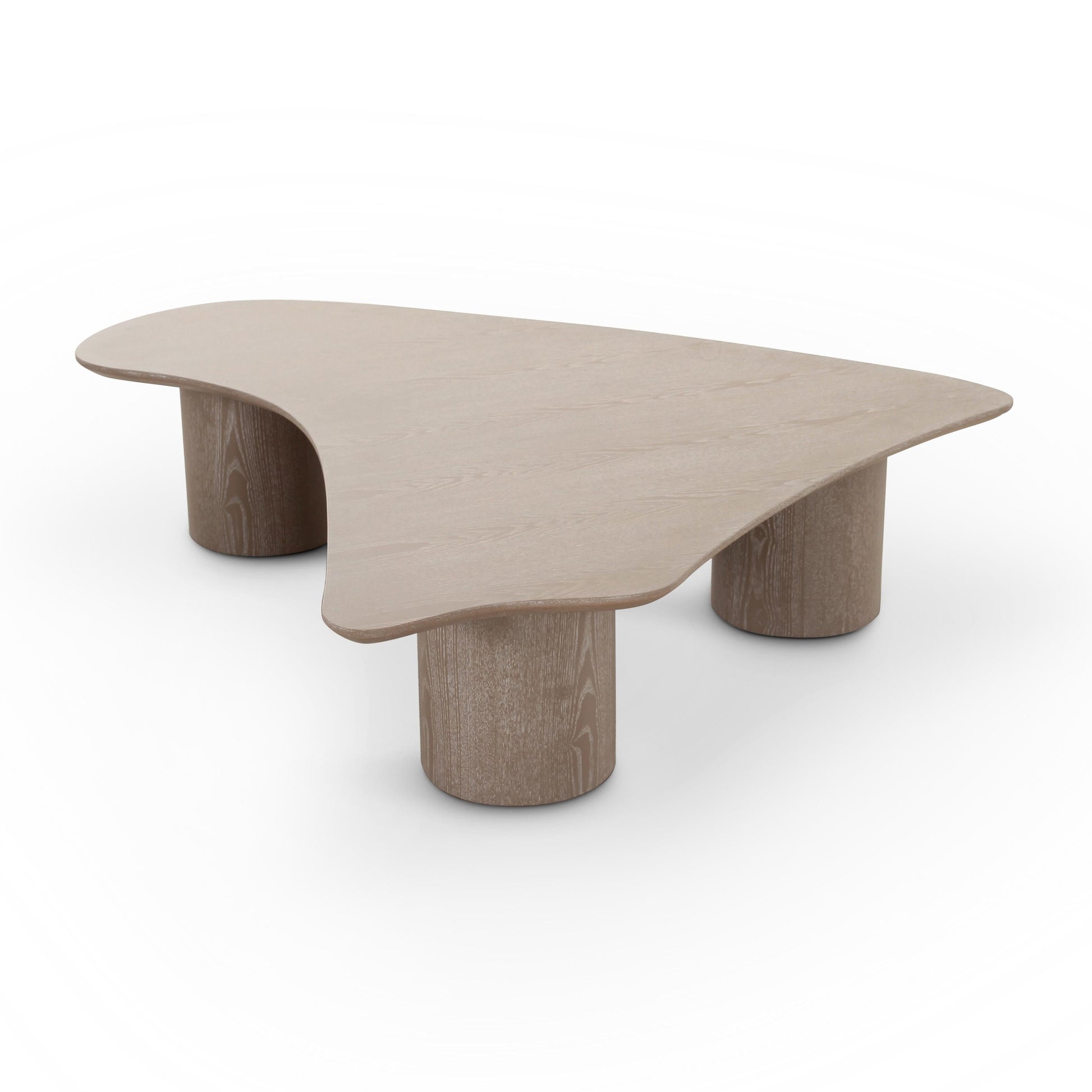 Rhema 55" Washed Ash Organic Low Coffee Table