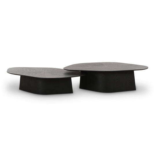 Roche 2-Piece Ash Nesting Coffee Table Set - Black