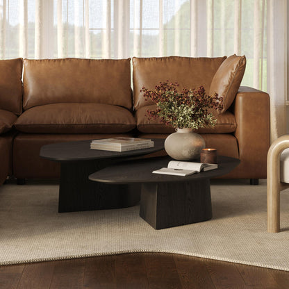 Roche 2-Piece Ash Nesting Coffee Table Set