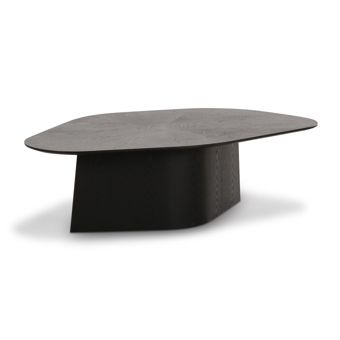 Roche 48" Ash Geometric Coffee Table - Black