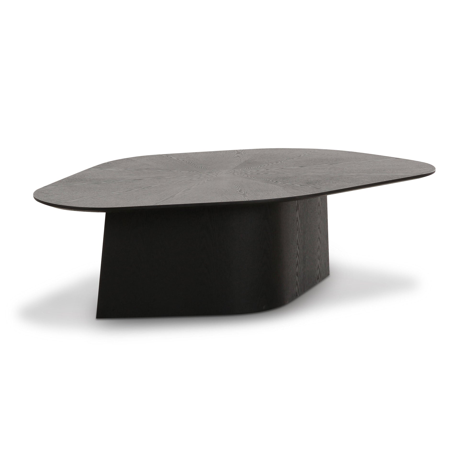 Roche 48" Ash Geometric Coffee Table - Black