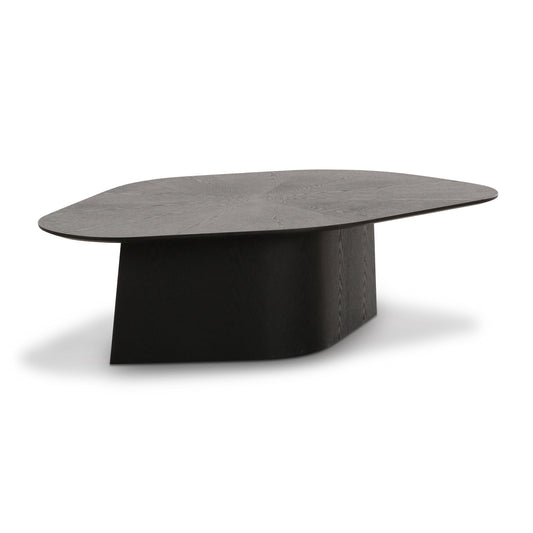Roche 48" Ash Geometric Coffee Table - Black